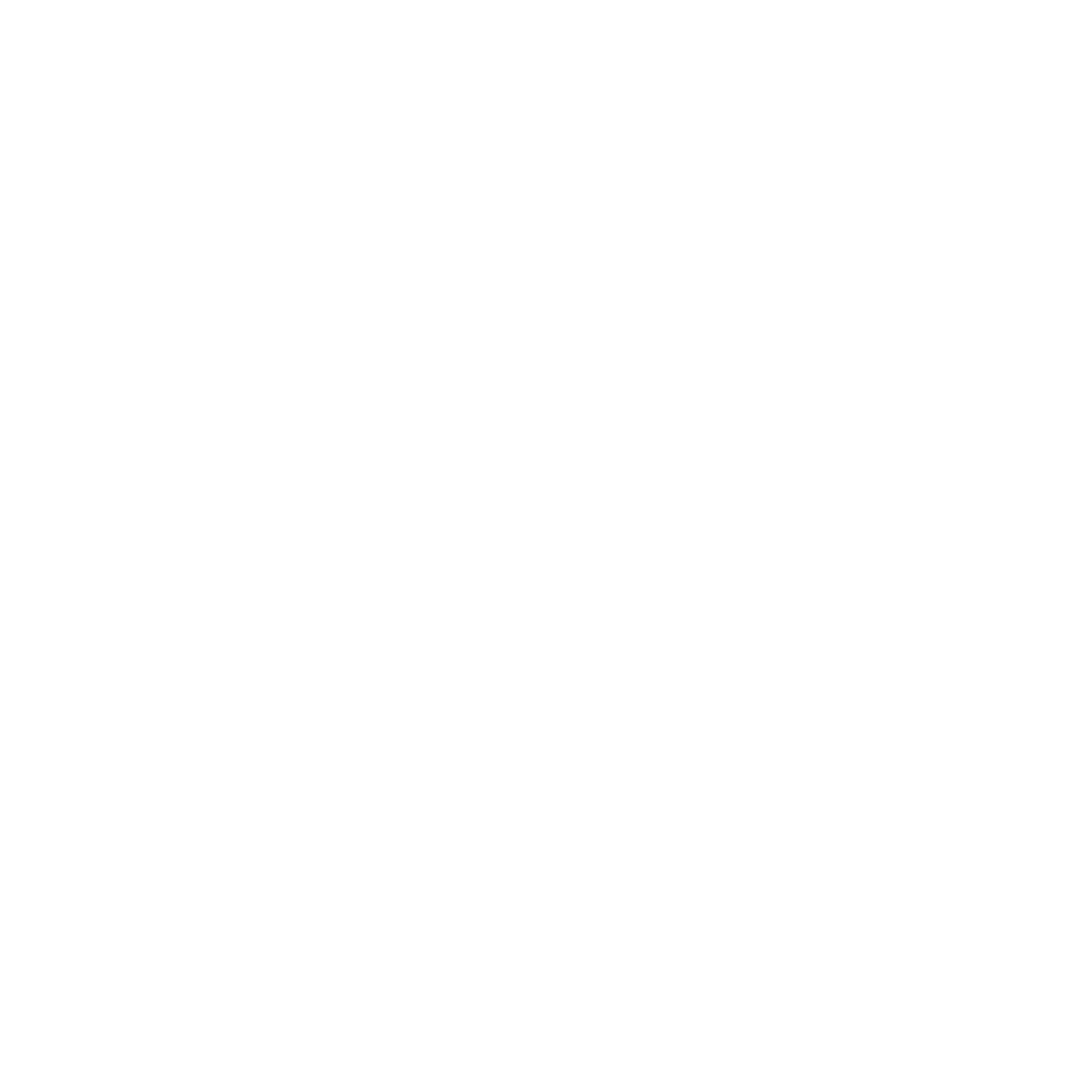 vrCAVE